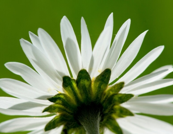 Антистресс - Лечебные программы - Пансионат «Солнечный» Николаевка